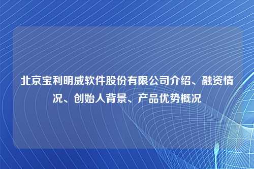 北京宝利明威软件股份有限公司介绍、融资情况、创始人背景、产品优势概况