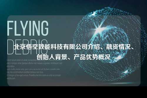 北京悟空致能科技有限公司介绍、融资情况、创始人背景、产品优势概况