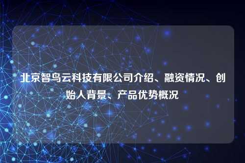 北京智鸟云科技有限公司介绍、融资情况、创始人背景、产品优势概况