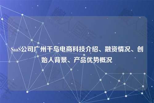 SaaS公司广州千鸟电商科技介绍、融资情况、创始人背景、产品优势概况