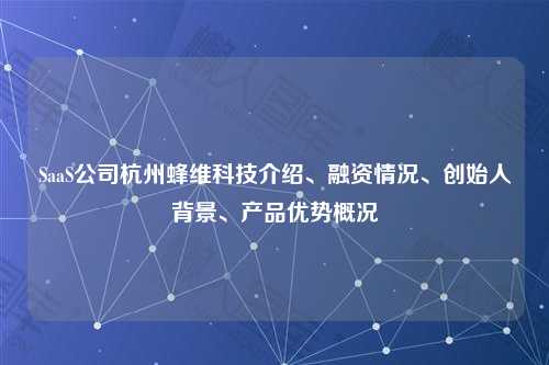 SaaS公司杭州蜂维科技介绍、融资情况、创始人背景、产品优势概况