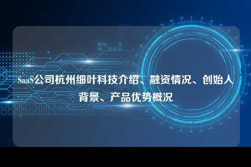 SaaS公司杭州细叶科技介绍、融资情况、创始人背景、产品优势概况