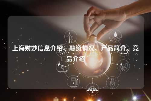 上海财妙信息介绍、融资情况、产品简介、竞品介绍