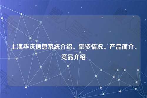 上海毕沃信息系统介绍、融资情况、产品简介、竞品介绍